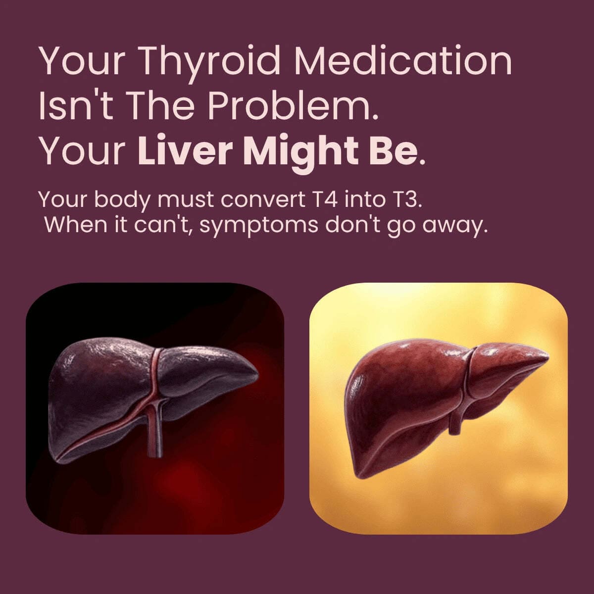 Lyveen™ - Thyroid Support (v2)